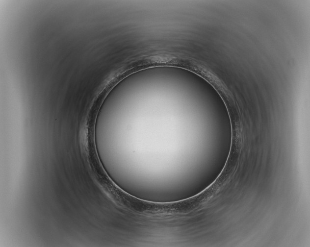 X0000115540626200911131545