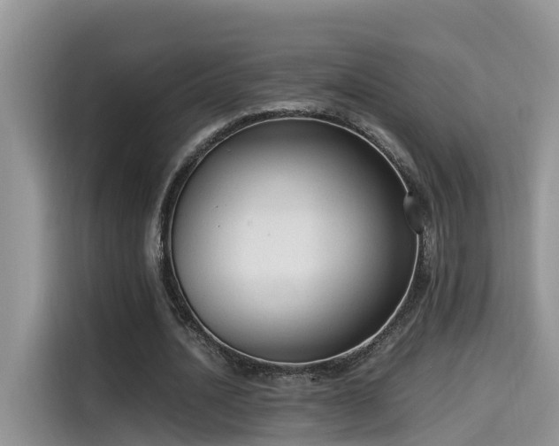 X0000115540628200911131545