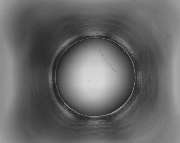 X0000115540629200911131545