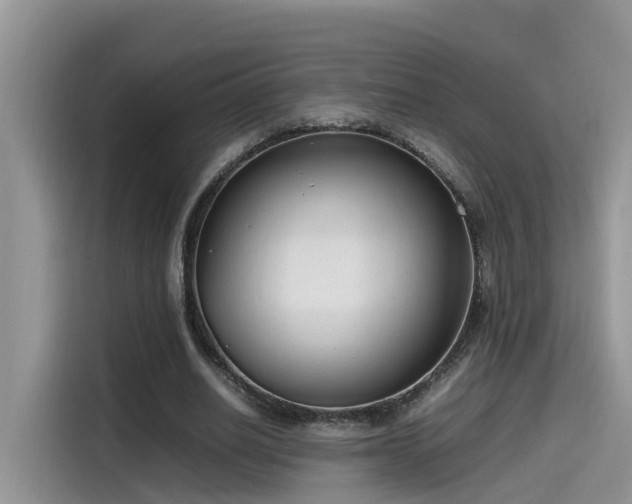 X0000115540630200911131545