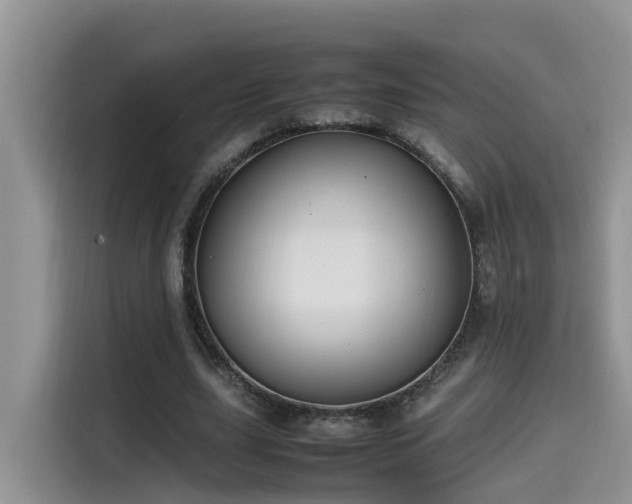 X0000115540631200911131545