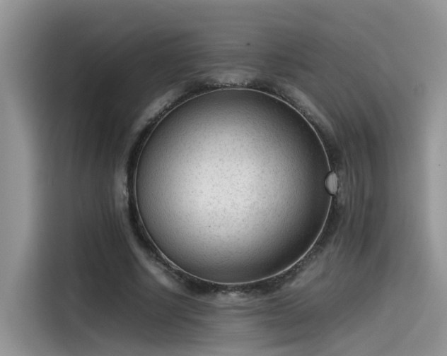 X0000115540634200911131545