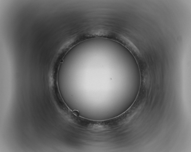 X0000115540635200911131545