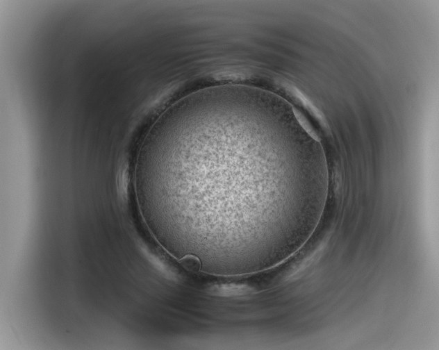 X0000115540637200911131545