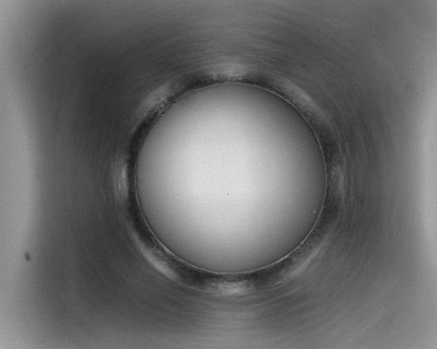 X0000115540638200911131545