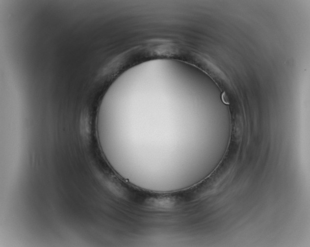 X0000115540639200911131545