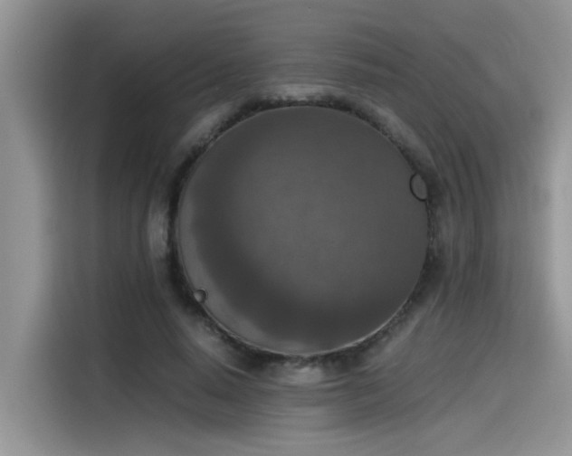 X0000115540640200911131545