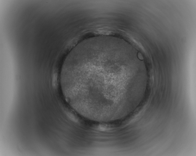 X0000115540641200911131545