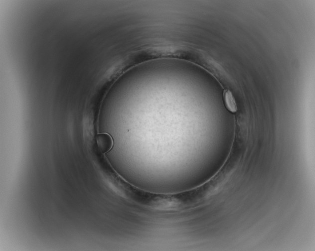 X0000115540642200911131545