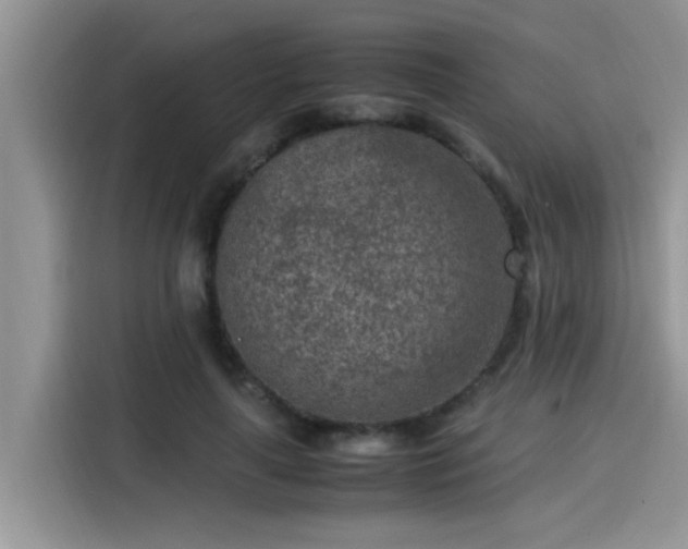 X0000115540643200911131545