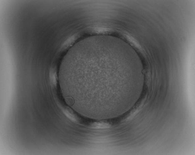 X0000115540644200911131545