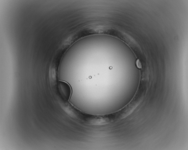 X0000115540646200911131545