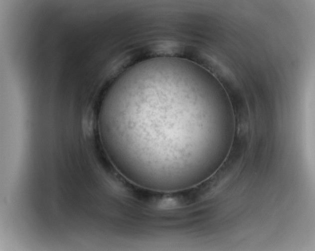 X0000115540647200911131545