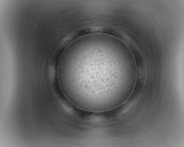 X0000115540648200911131545