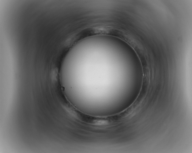 X0000115540649200911131545