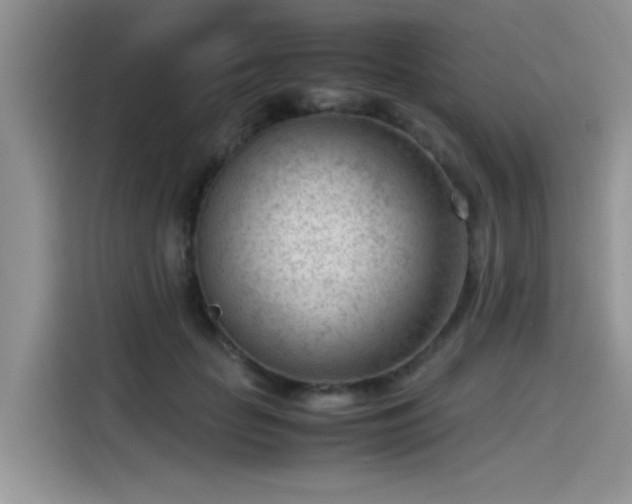 X0000115540653200911131545