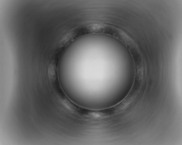 X0000115540654200911131545