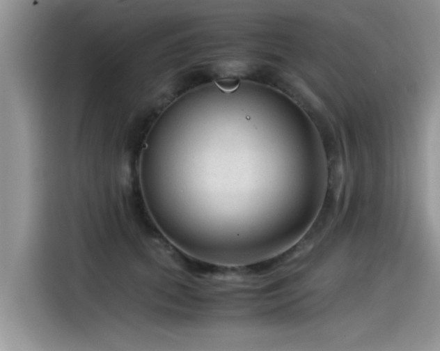 X0000115540655200911131545