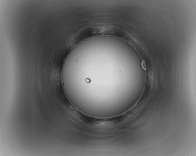 X0000115540657200911131545