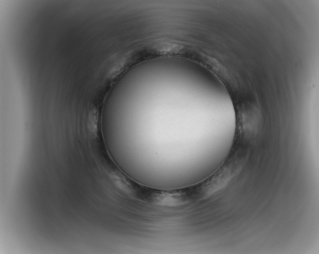 X0000115540664200911131545