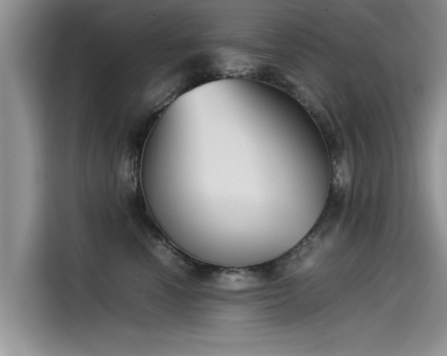 X0000115540666200911131545