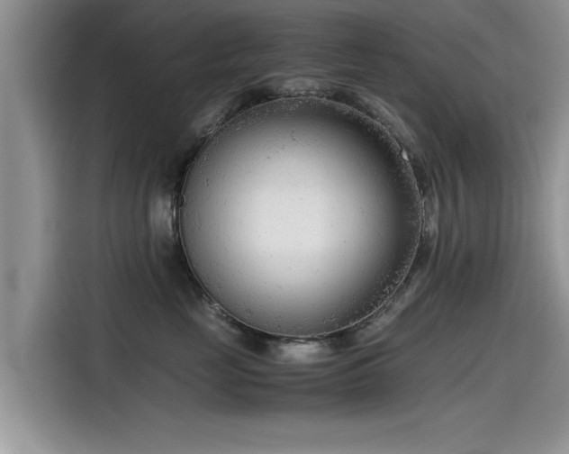 X0000115540669200911131545