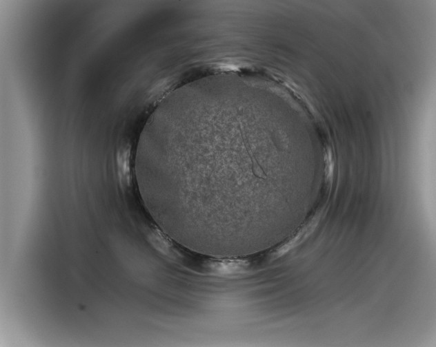 X0000115540670200911131545