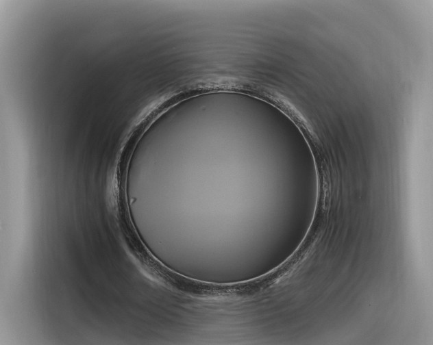 X0000115540674200911131545