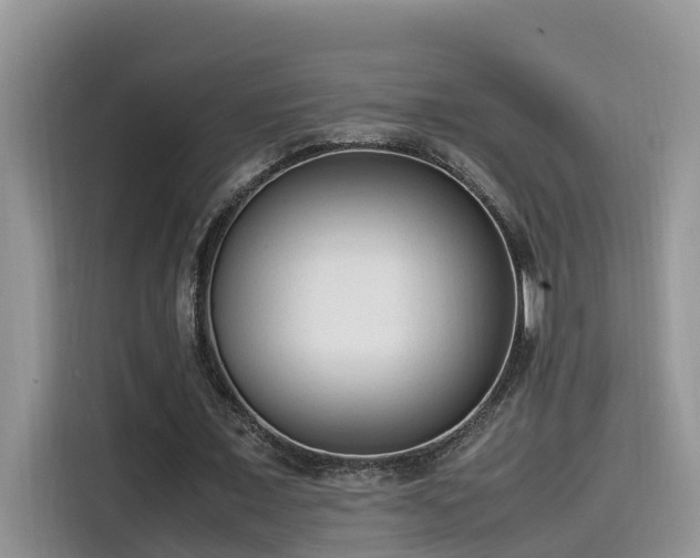 X0000115540675200911131545