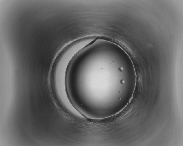 X0000115540676200911131545