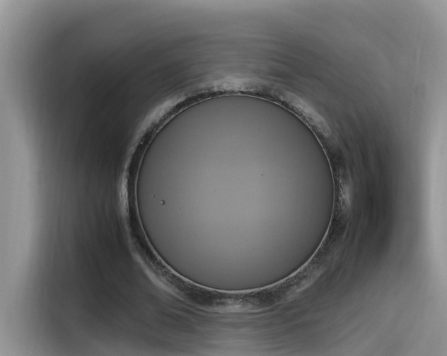 X0000115540678200911131545