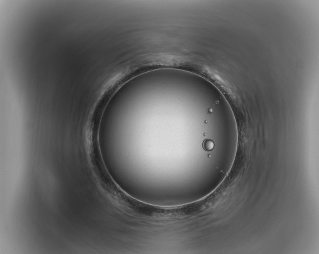 X0000115540679200911131544