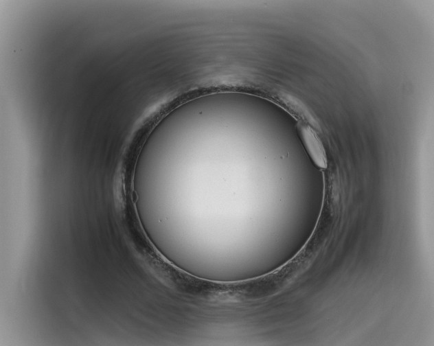 X0000115540680200911131544