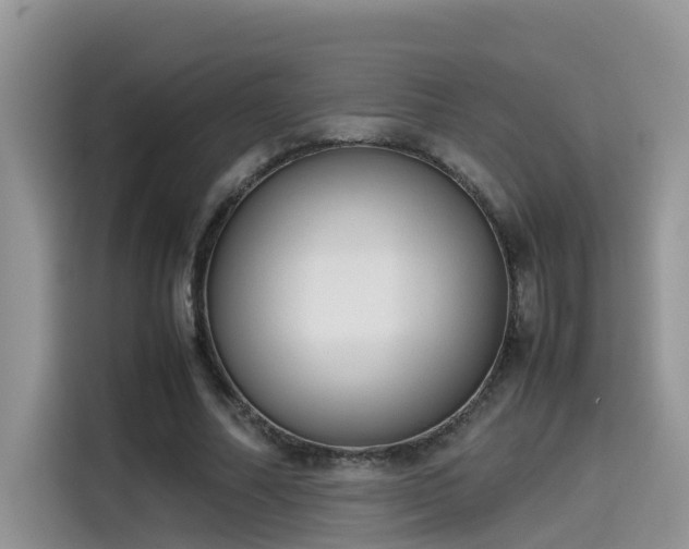 X0000115540682200911131544