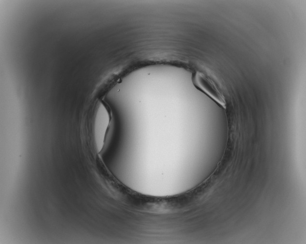 X0000115540688200911131544