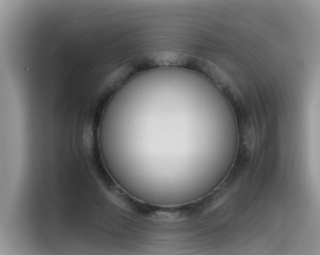 X0000115540690200911131544