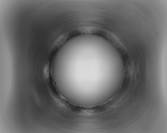 X0000115540694200911131544