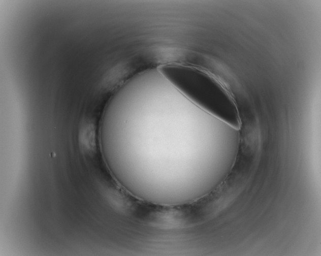 X0000115540696200911131544