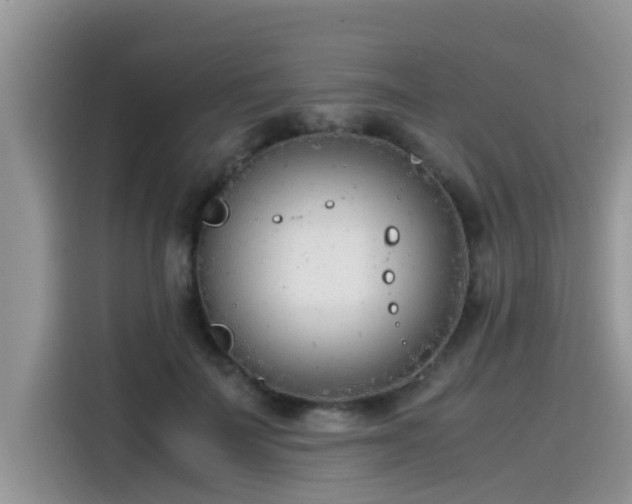 X0000115540699200911131544