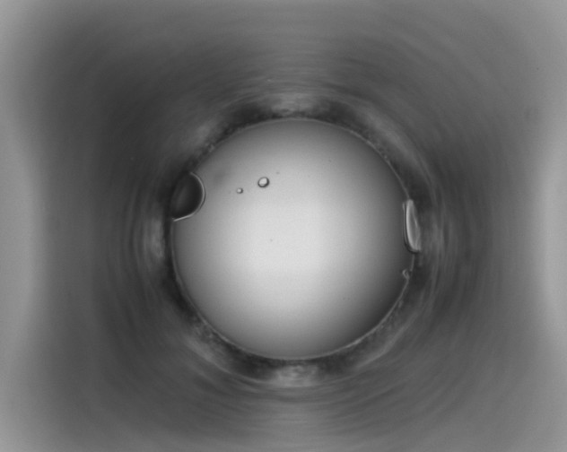 X0000115540700200911131544