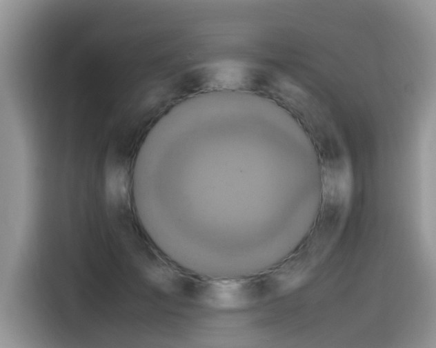 X0000115540701200911131544