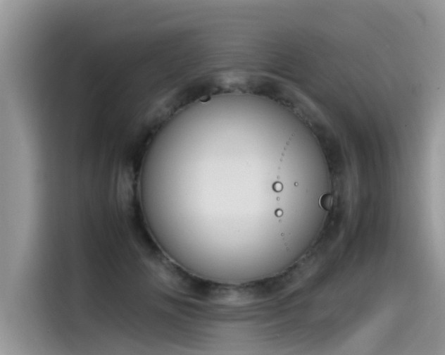 X0000115540702200911131544