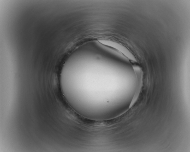 X0000115540704200911131544