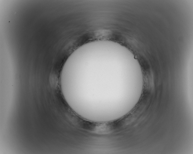 X0000115540705200911131544