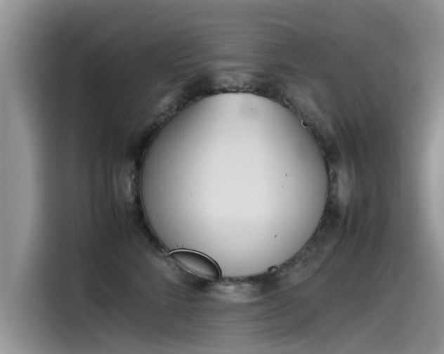 X0000115540712200911131544