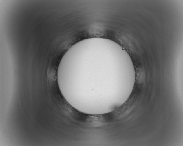 X0000115540713200911131544