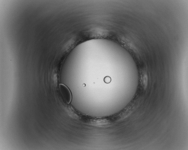 X0000115540716200911131544