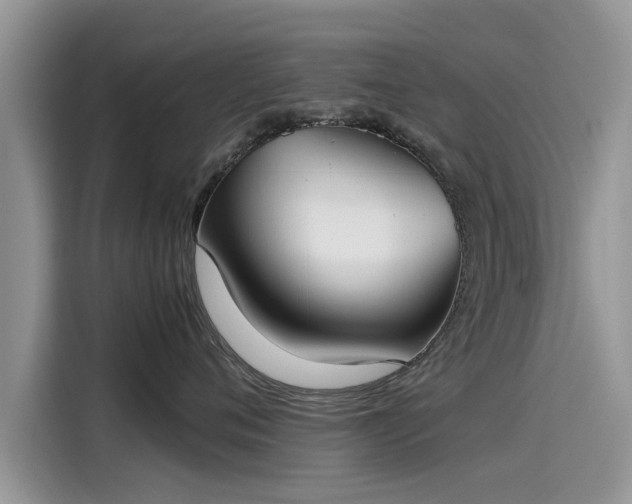 X0000115540720200911131544