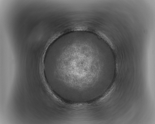 X0000115540721200911131543