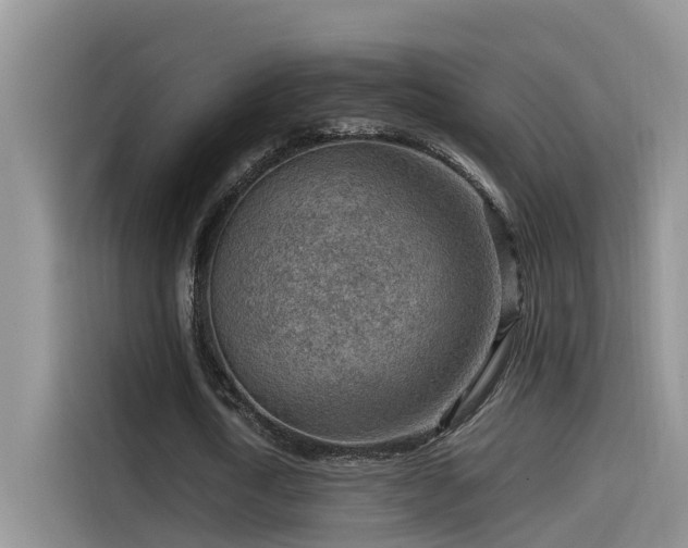 X0000115540722200911131543